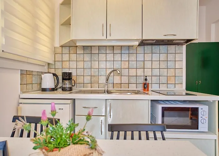 Logas Corfu Apartman *