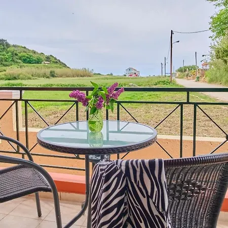 Logas Corfu 아파트 *